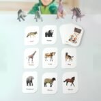 childkraft 32-Piece Animal Flash Cards Set - Image 4