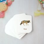 childkraft 32-Piece Animal Flash Cards Set - Image 2